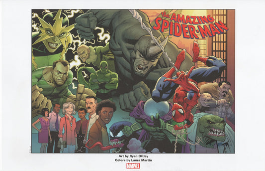 THE AMAZING SPIDER-MAN 1 PRINT