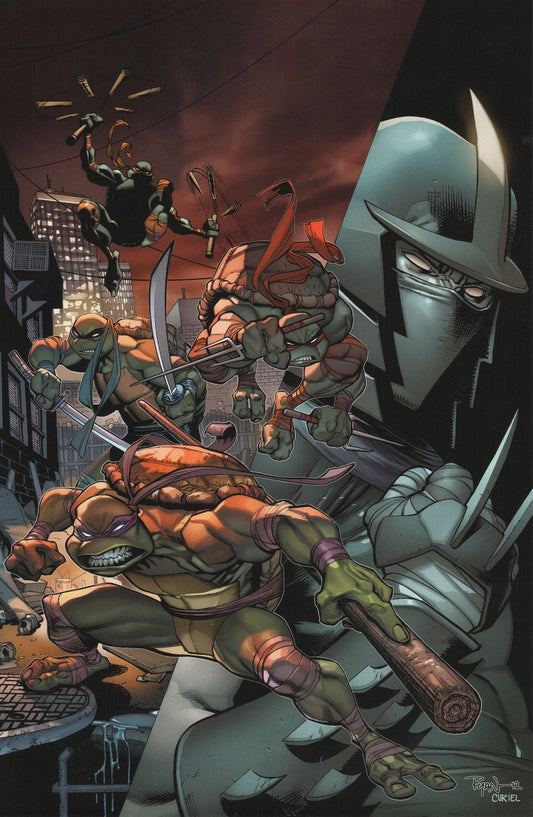 TEENAGE MUTANT NINJA TURTLES PRINT